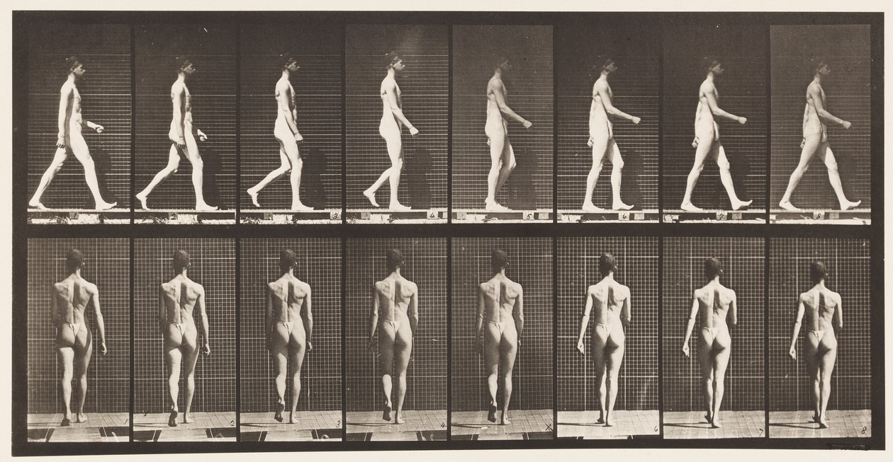 Talíř 9. Chůze, 1872-1885 od Eadweard Muybridge