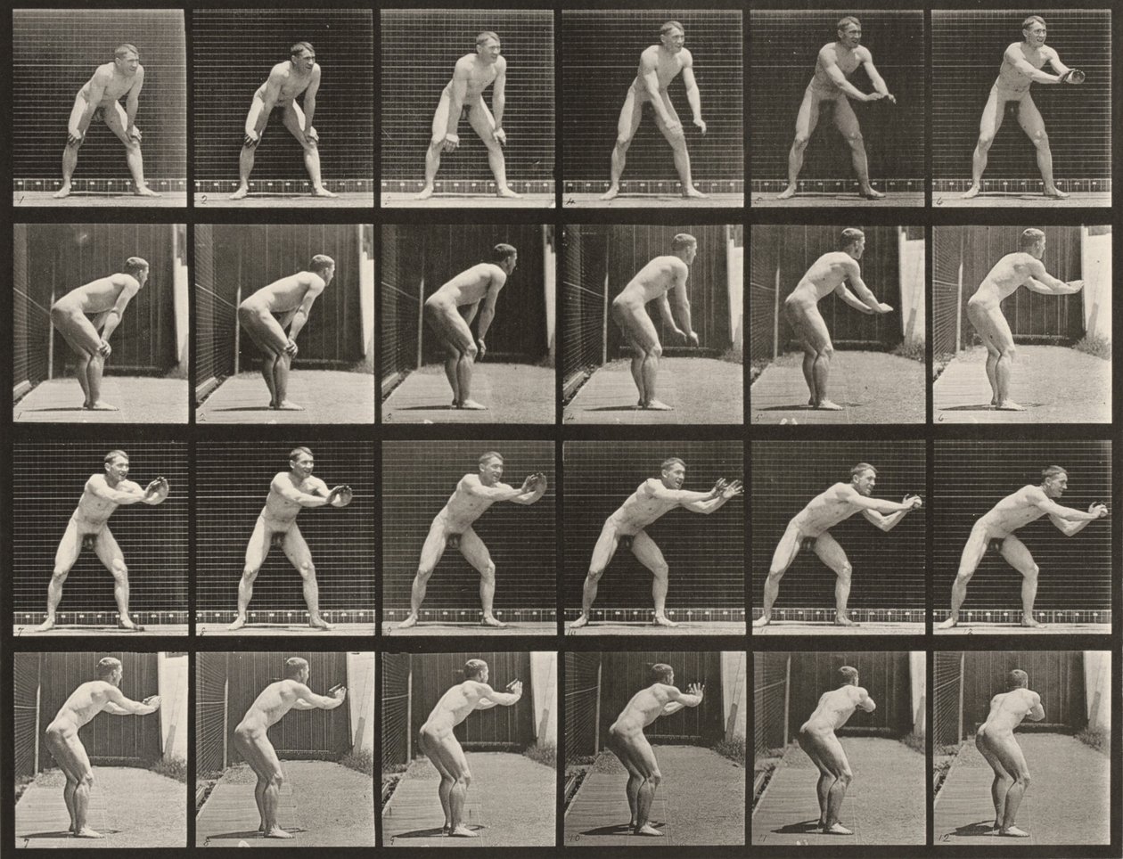 Tabule číslo 280. Baseball, chytání od Eadweard Muybridge