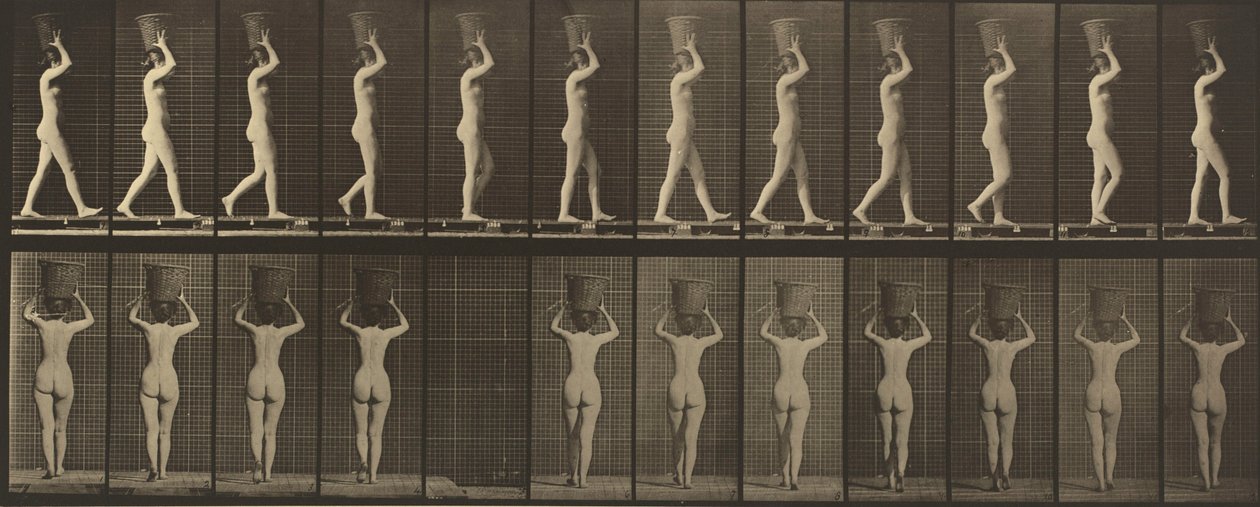 Tabule číslo 34. Chůze a nošení koše o hmotnosti 15 lb na hlavě, ruce zdvižené od Eadweard Muybridge