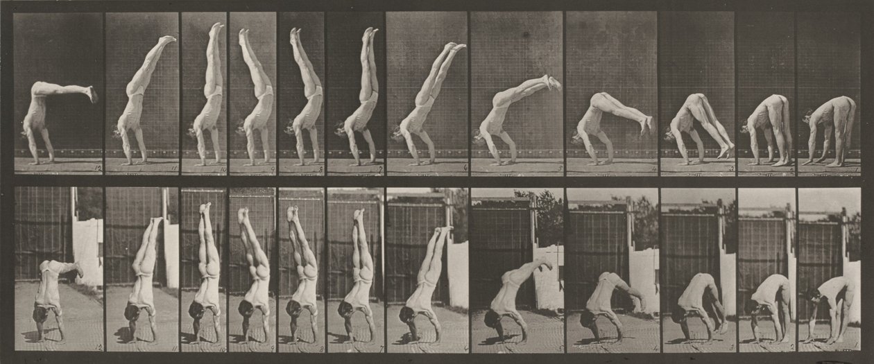Deska číslo 371. Acrobat, vertikální "lisování",1887 (foto) od Eadweard Muybridge