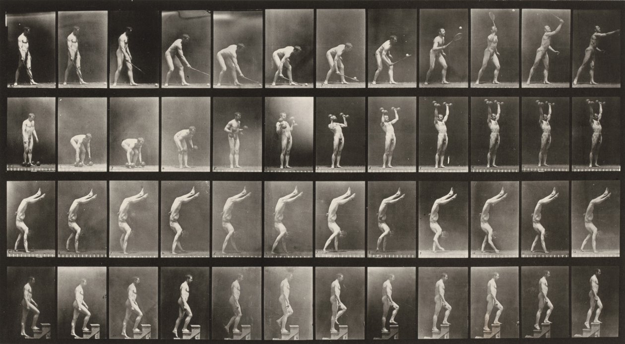 Tabule číslo 488. A: Tenis na trávě. B: Činky. C: Chůze po rukou. D: Chůze do schodů od Eadweard Muybridge