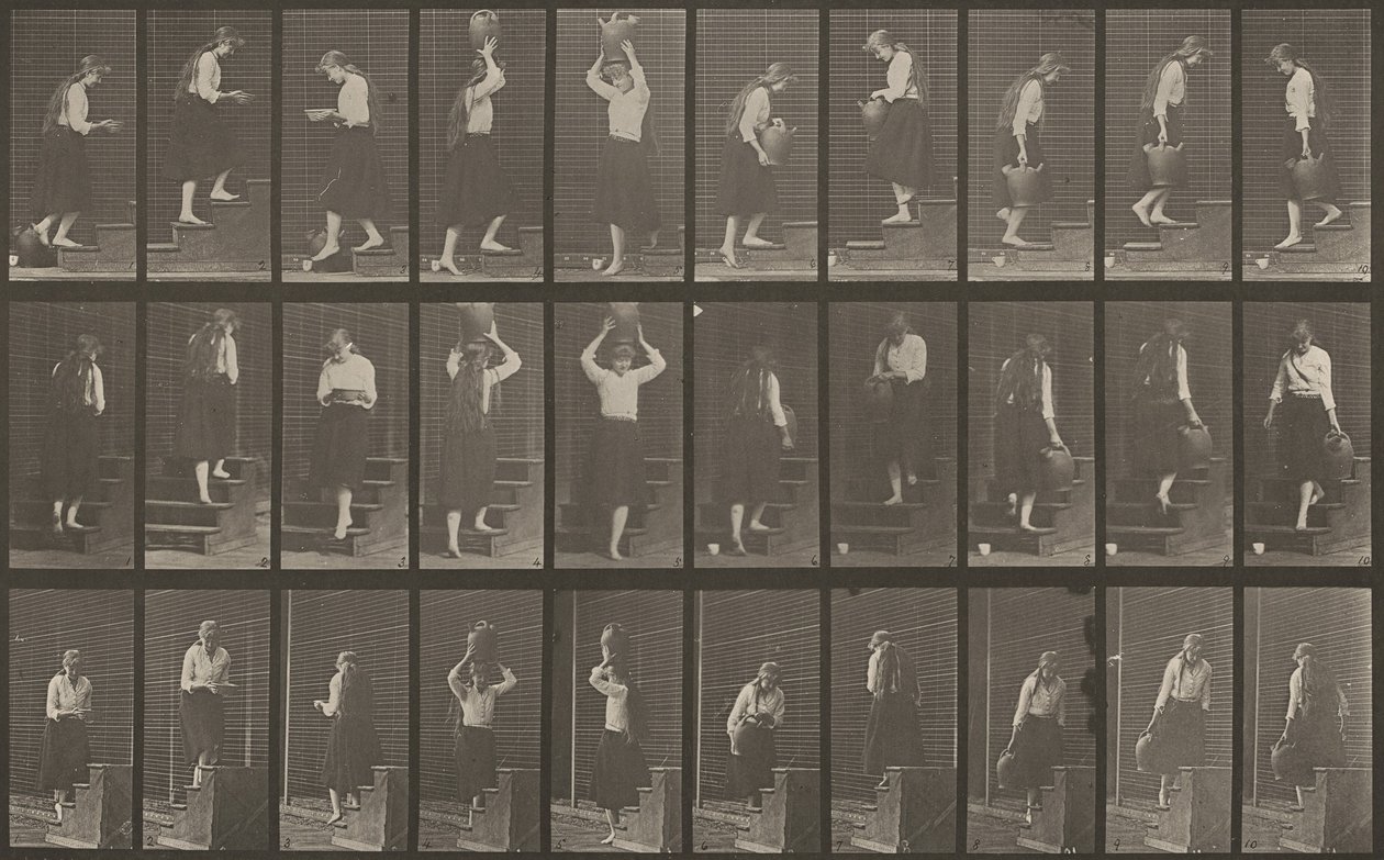 Číslo desky 504. Vzestupné a sestupné schody od Eadweard Muybridge