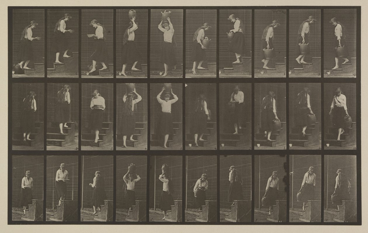 Číslo desky 504. Vzestupné a sestupné schody od Eadweard Muybridge