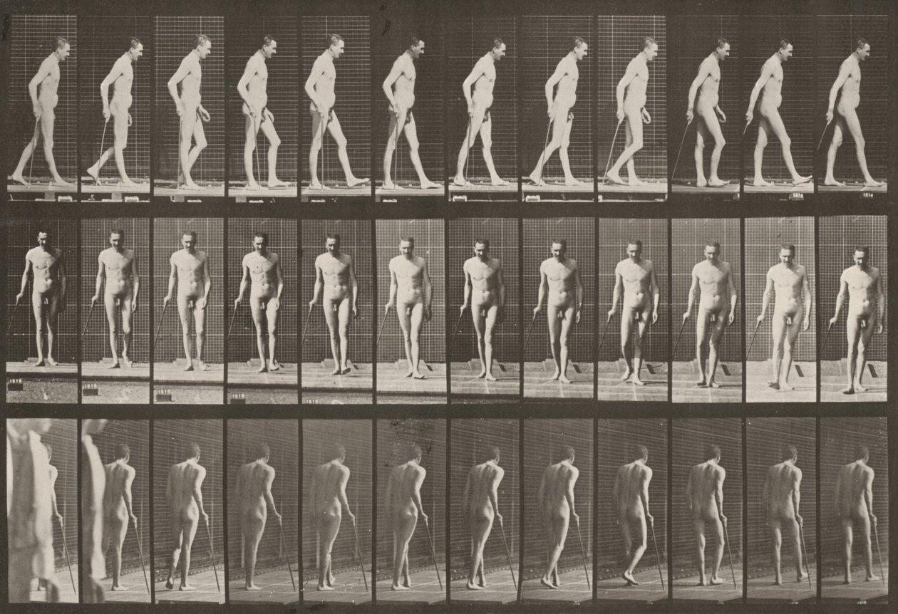 Tabule číslo 559. Částečná paraplegie, chůze s holí od Eadweard Muybridge