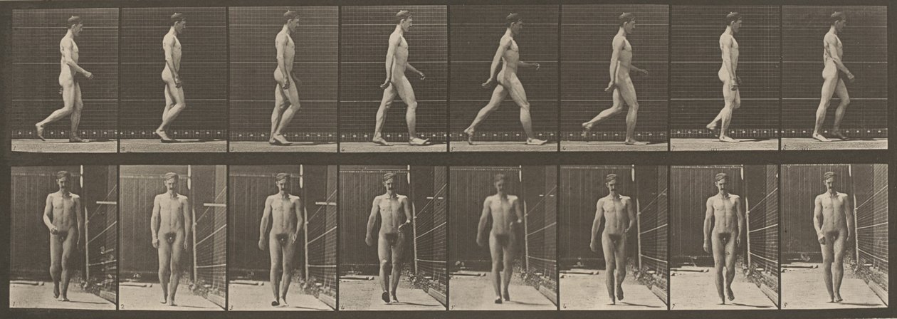 Deska číslo 5. Procházka,1887 (foto) od Eadweard Muybridge