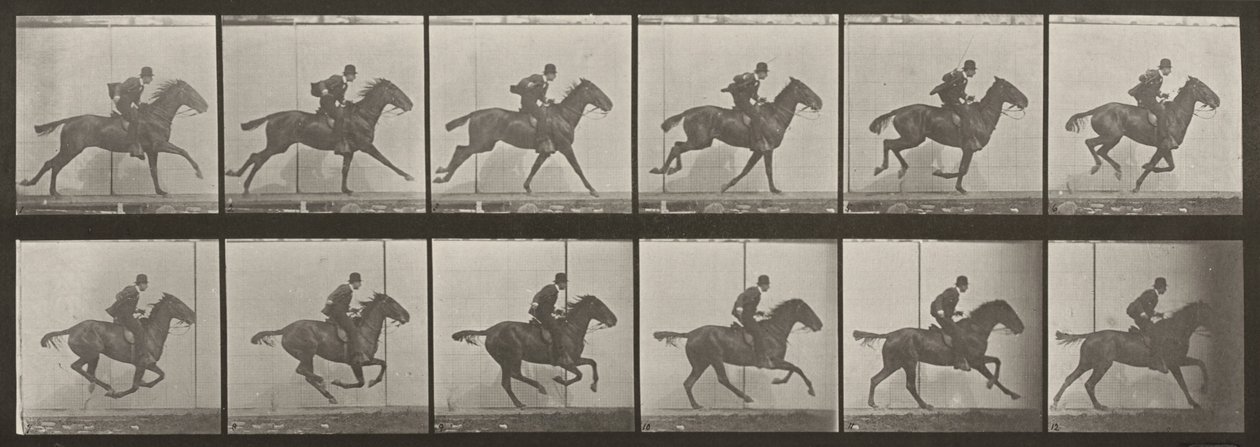 Tabulka číslo 624. „Daisy“ ve cvalu, osedlaná od Eadweard Muybridge