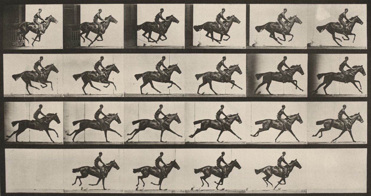Tabulka číslo 625. „Bouquet“ v cvalu od Eadweard Muybridge
