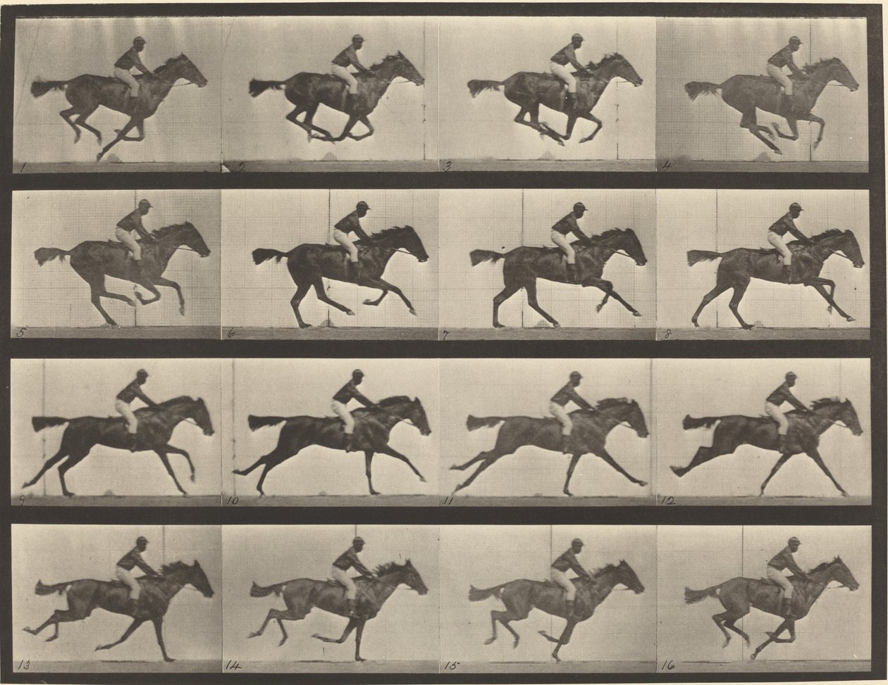 Číslo talíře 626. Cval, plnokrevná klisna hnědáka, Annie G. od Eadweard Muybridge
