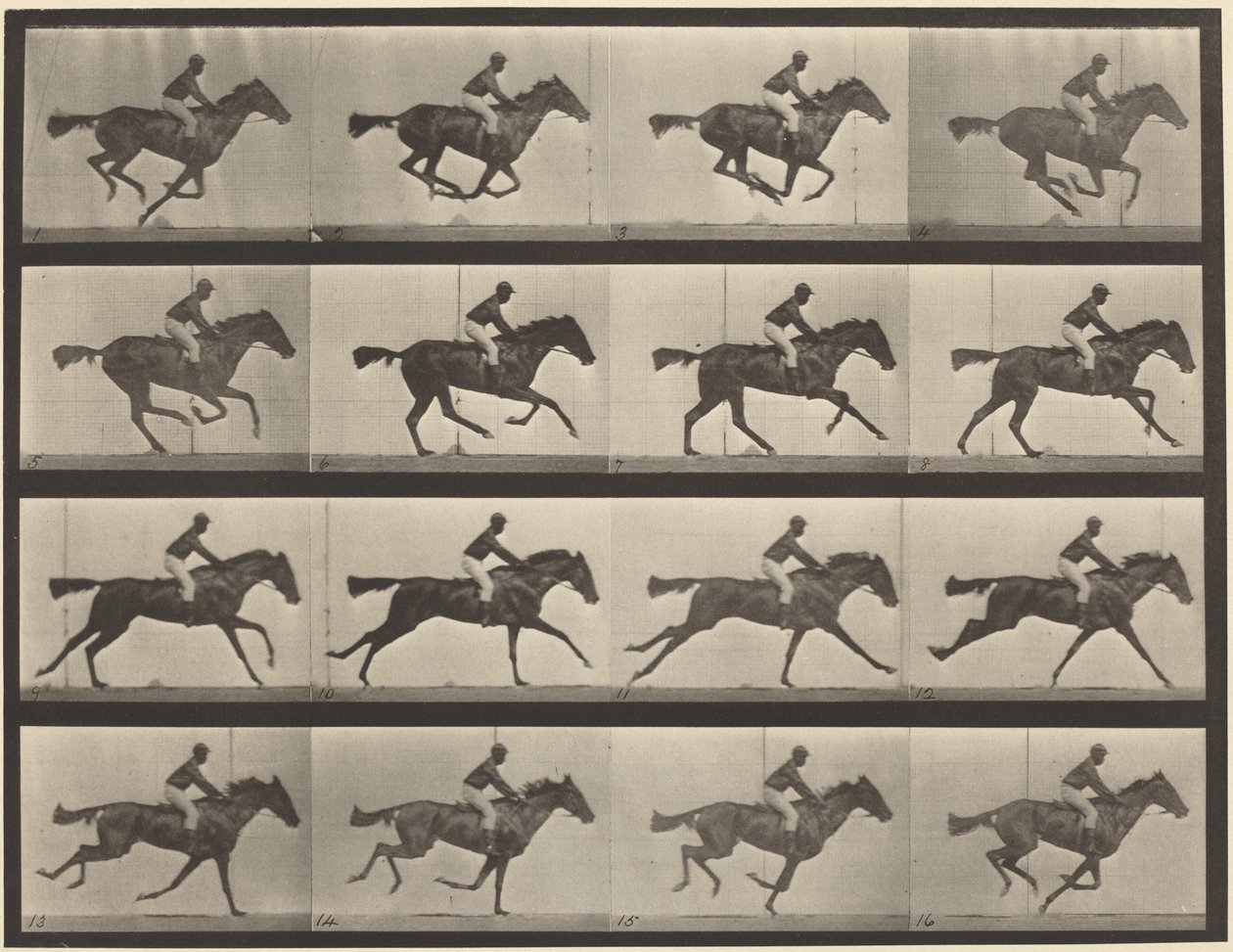 Tabule číslo 626. Cval, plnokrevná hnědka, Annie G. od Eadweard Muybridge