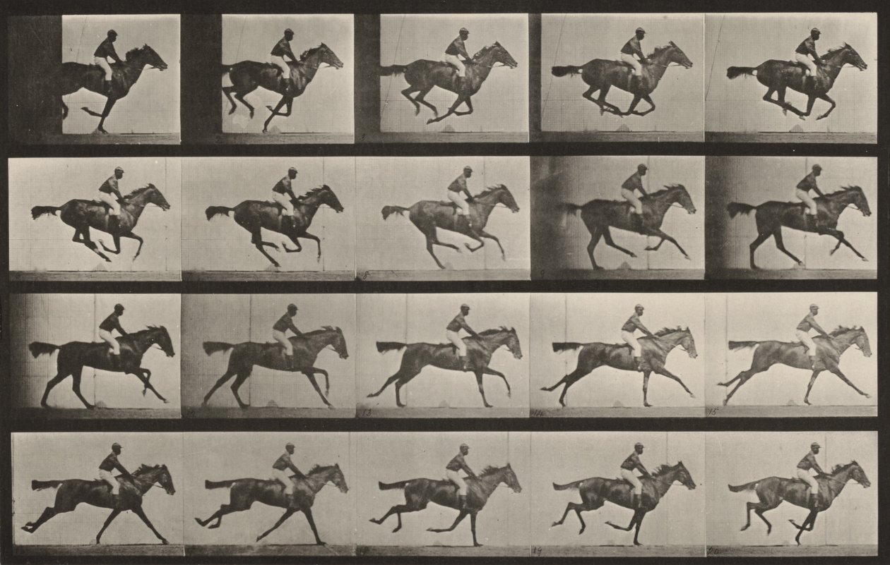 Tabulka číslo 627. „Annie G.“ ve cvalu od Eadweard Muybridge