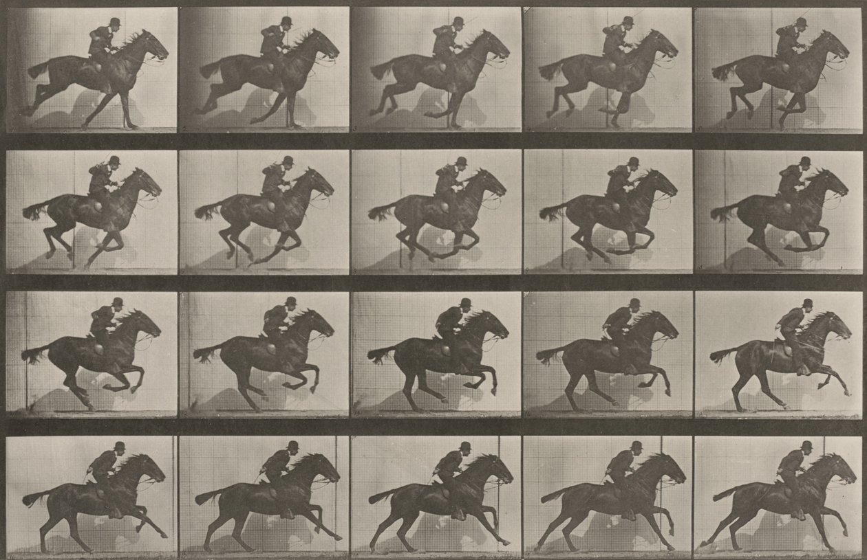 Tabulka číslo 628. „Daisy“ ve cvalu od Eadweard Muybridge