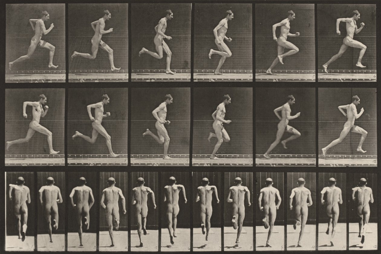 Tabulka číslo 62. Běh plnou rychlostí od Eadweard Muybridge
