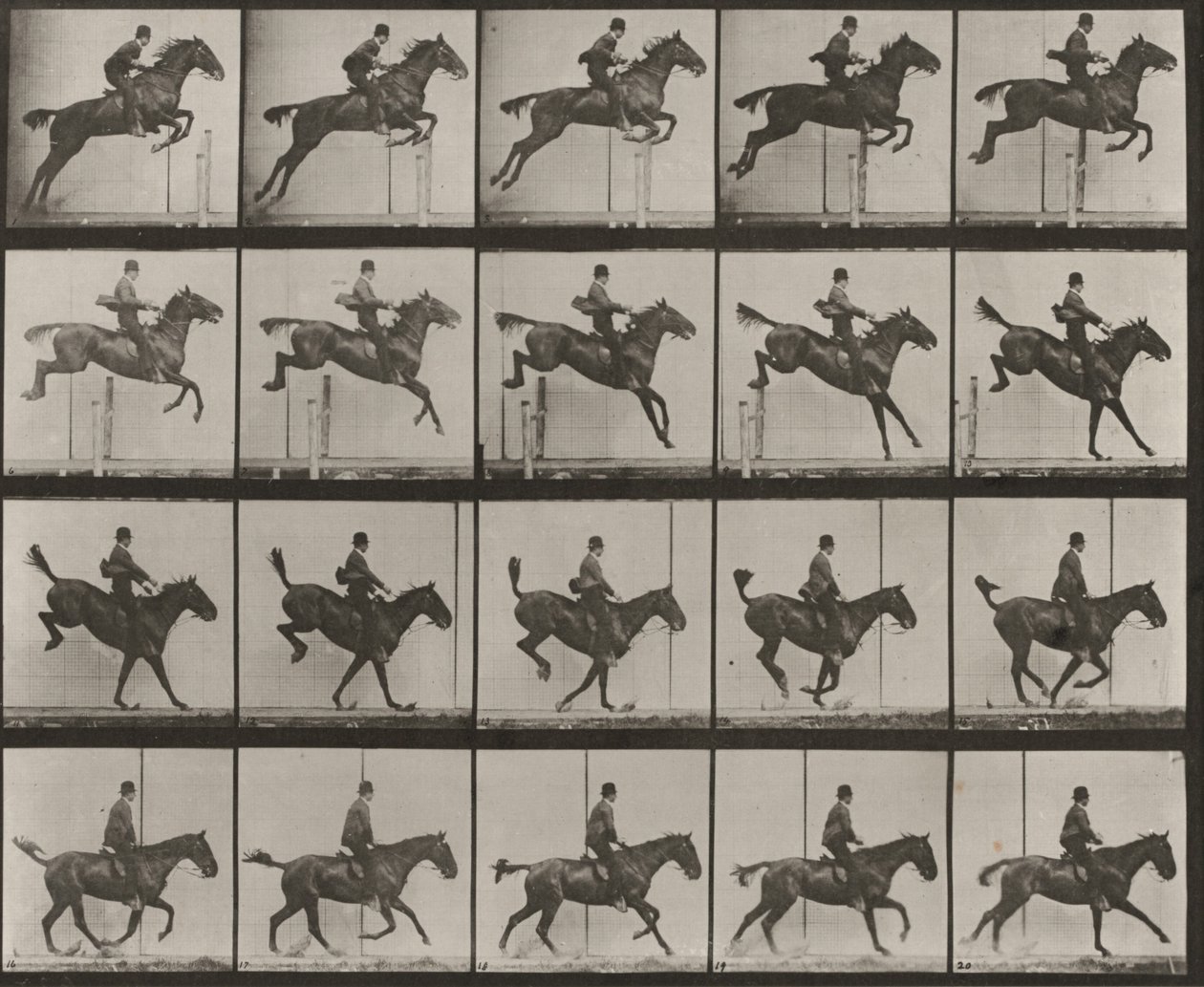Tabule číslo 637. „Daisy“ skáče přes překážku, osedlaná, při překonávání, dopadu a zotavení od Eadweard Muybridge