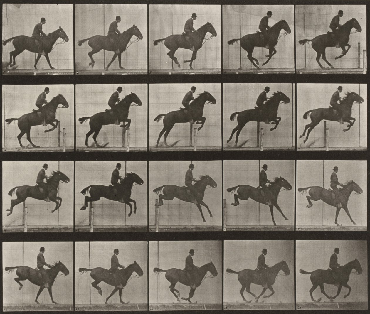 Tabulka číslo 639. „Daisy“ skáče přes překážku, osedlaná od Eadweard Muybridge
