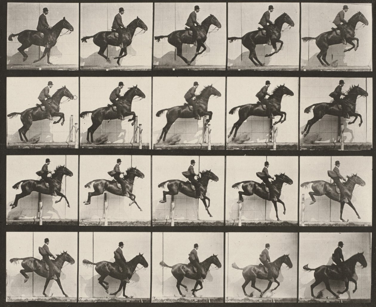 Tabulka číslo 640. „Daisy“ skáče přes překážku, osedlaná od Eadweard Muybridge