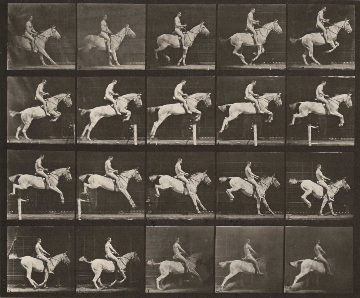 Tabulka číslo 642. „Pandora“ skáče přes překážku, osedlaná; jezdec nahý od Eadweard Muybridge