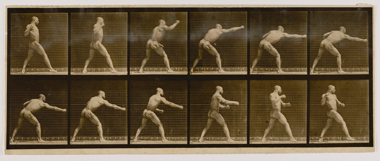 Pugilist Striking a Blow, z knihy Animal Locomotion (Pohyb zvířat) od Eadweard Muybridge