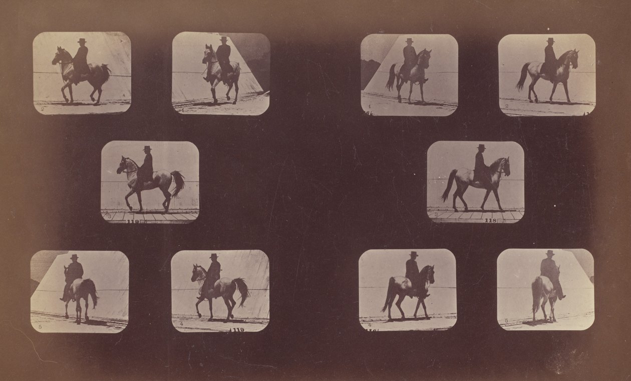Studie foreshorteningů. Koně. Chůze. Mahomet. č. 119-120 od Eadweard Muybridge