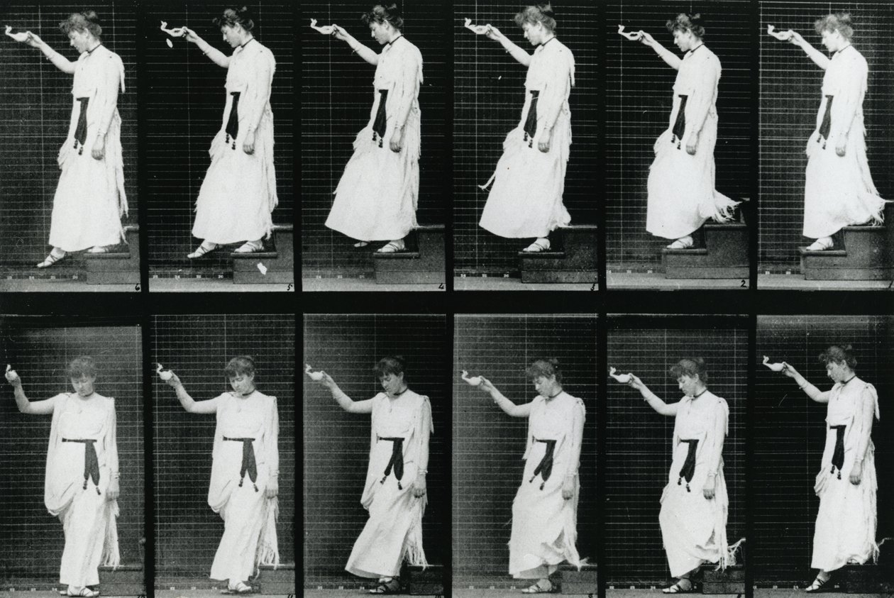 Žena. Descending a Stairway, 1887, ilustrace z „The Human Figure in Motion“ od Eadwearda Muybridge, vydání z roku 1904 od Eadweard Muybridge