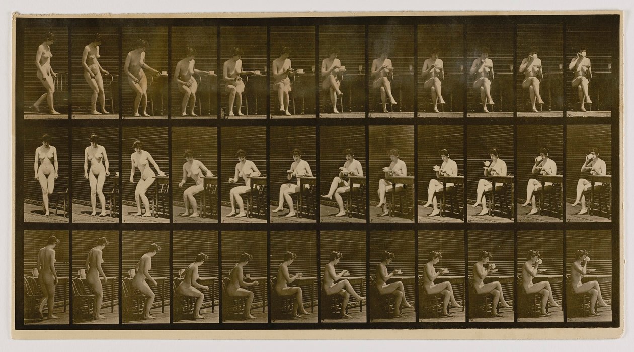 Žena vsedě, se zkříženýma nohama, pije ze šálku, z knihy Animal Locomotion (Pohyb zvířat) od Eadweard Muybridge
