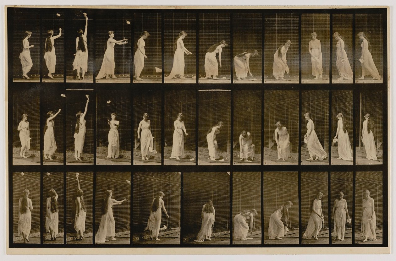 Žena házející kapesník do vzduchu a zvedající ho, z knihy Animal Locomotion (Pohyb zvířat) od Eadweard Muybridge
