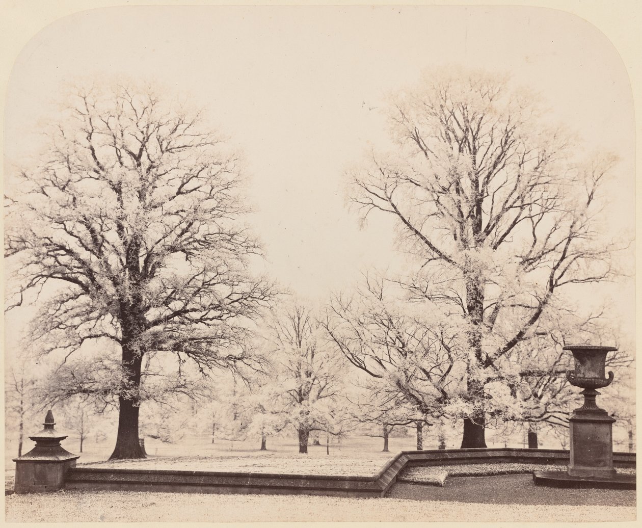 Mráz, scéna z parku,1862 (foto) od Earl of Caithness