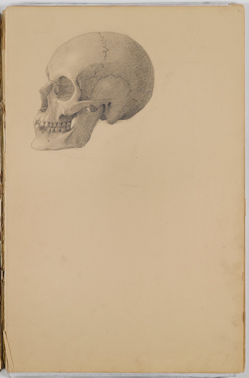 Anatomy Sketch Book, 1849 (skicář obsahující kresby v grafitu) od Eastman Johnson