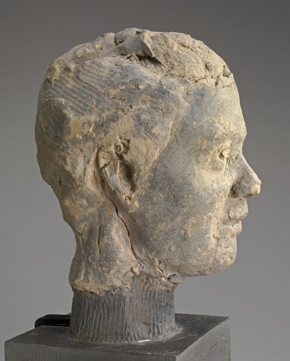 Head, Studie k portrétu Mme Salle, c. 1892. od Edgar Degas