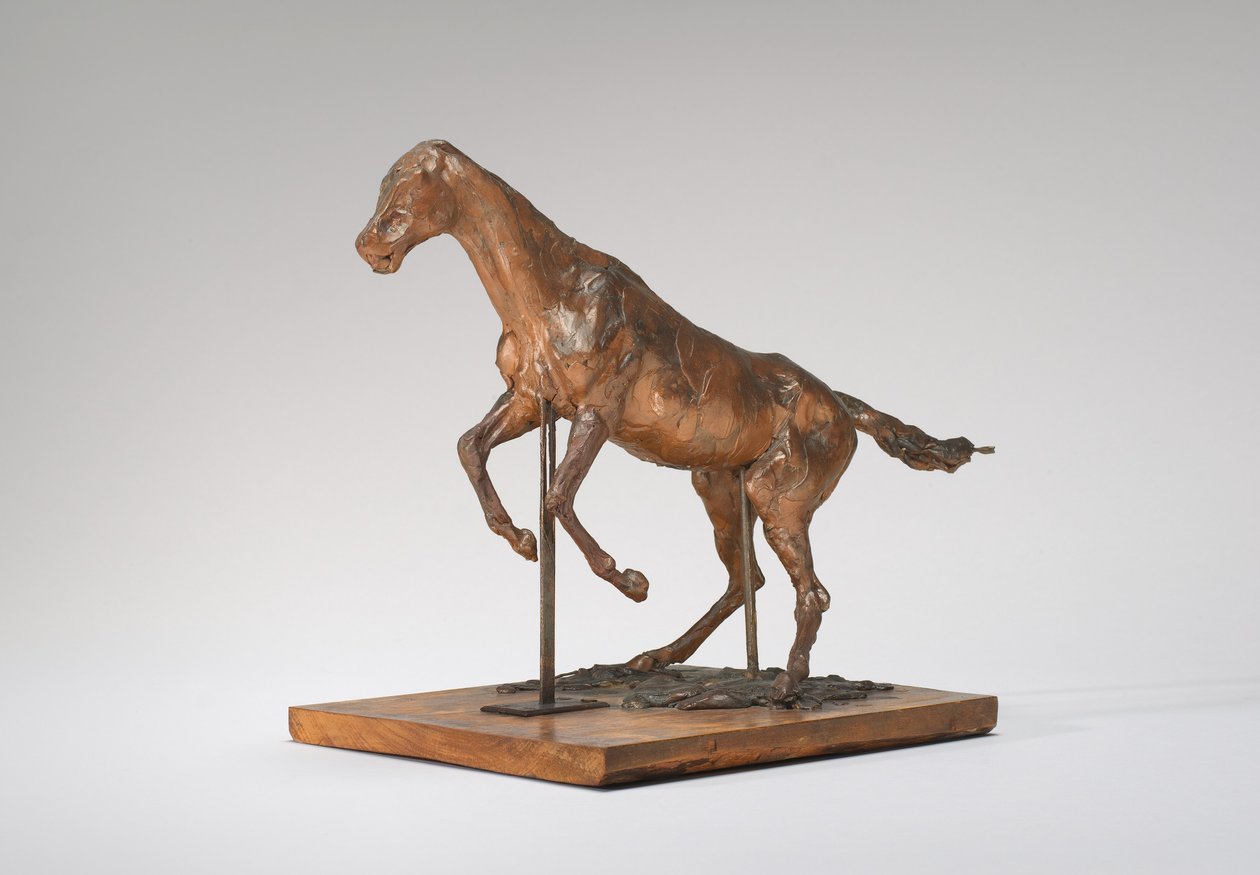 Horse Balking Kůň odklízení překážky, konec 80. let 19. století. od Edgar Degas