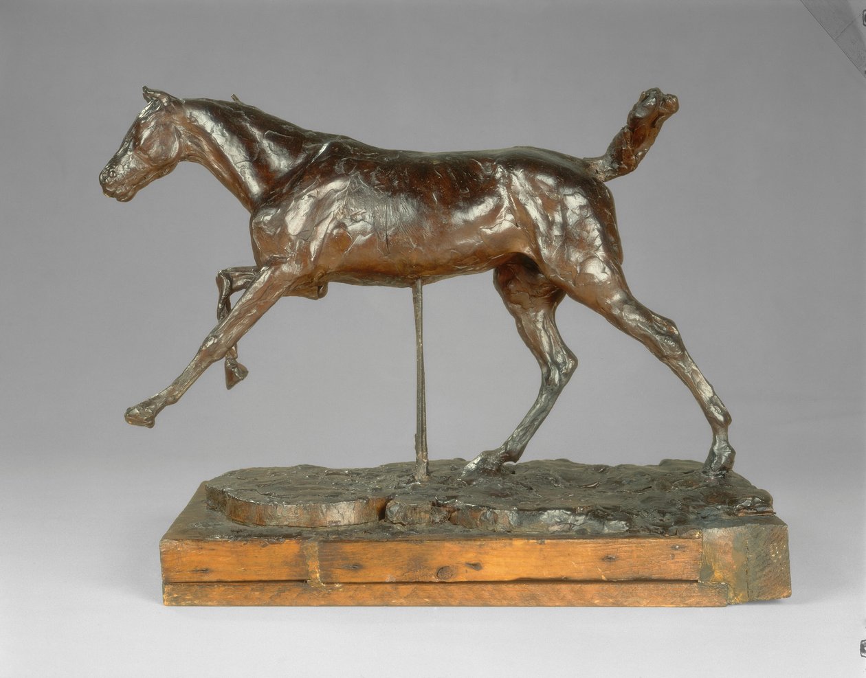 Kůň cválající pravou nohou, konec 80. let 19. století. od Edgar Degas