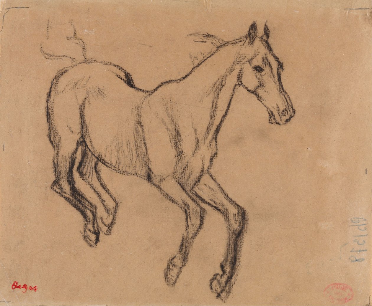 Cval koně od Edgar Degas