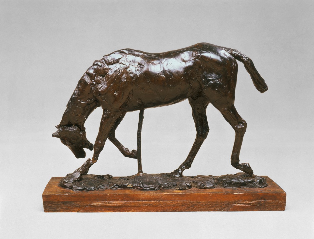 Kůň se skloněnou hlavou od Edgar Degas