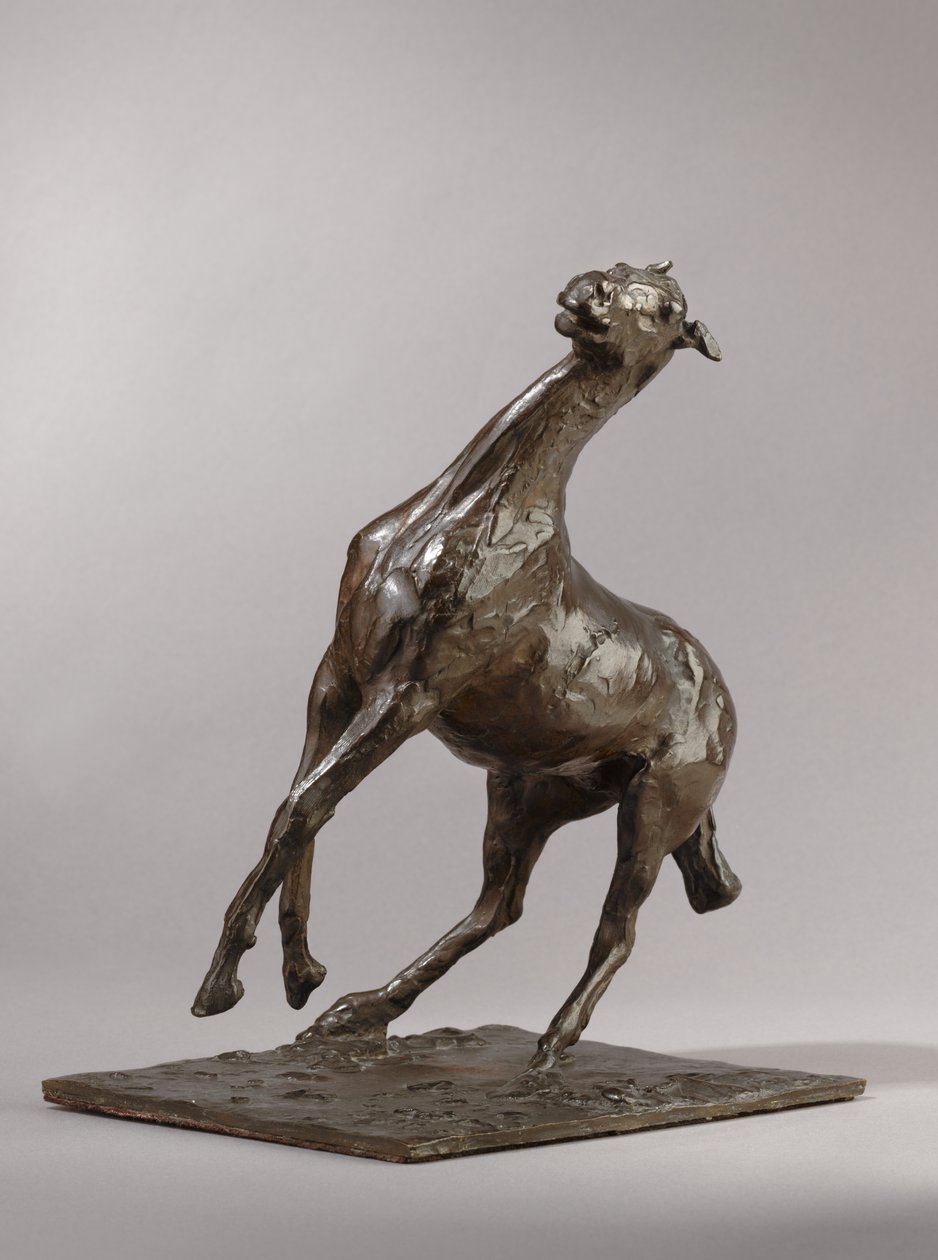Chovný kůň, model kolem 70. let 19. století, obsazeno 1919-21 od Edgar Degas