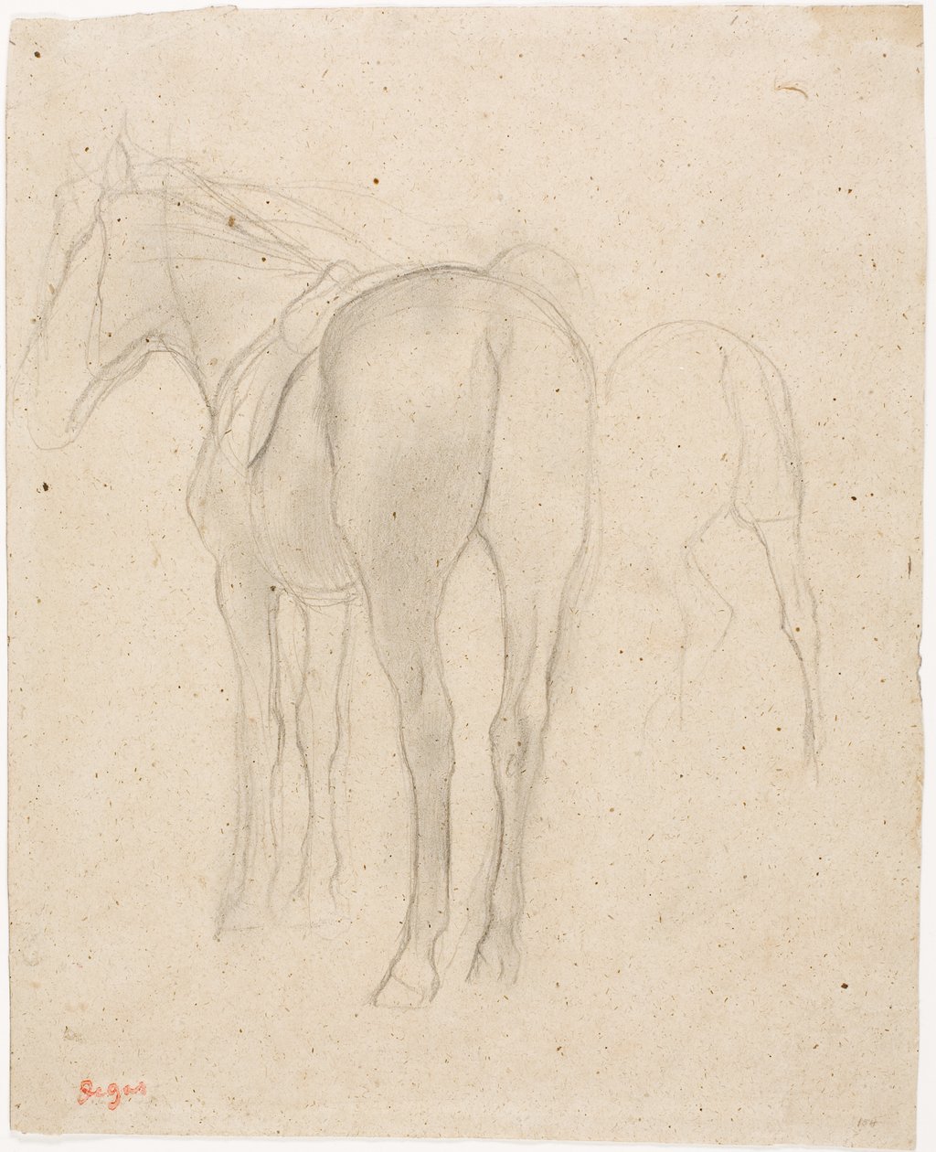 Studie koně od Edgar Degas