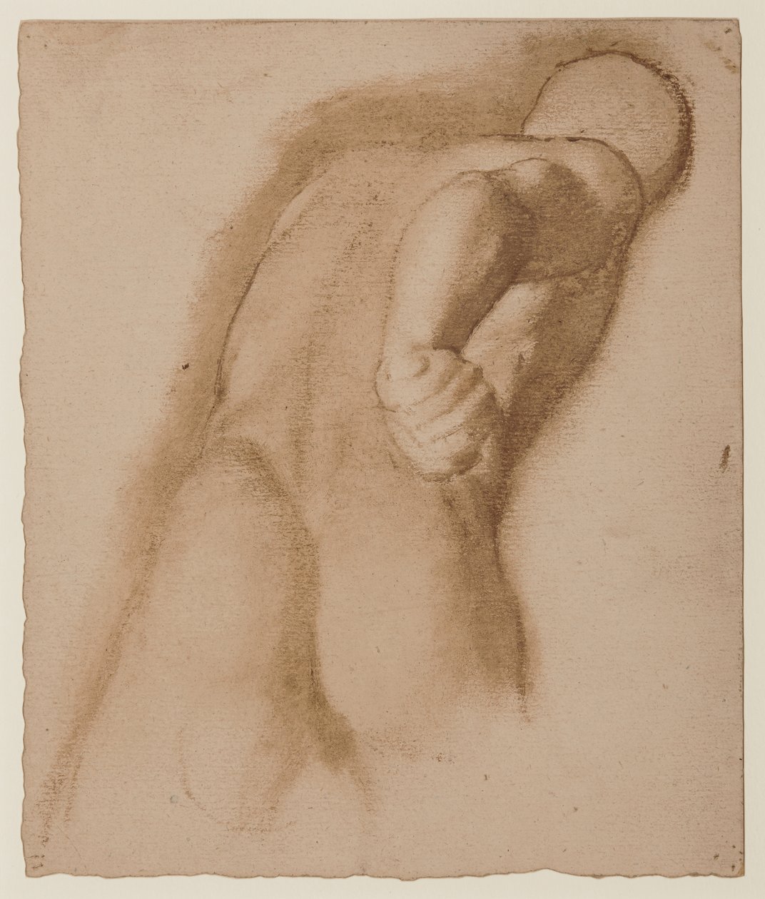 Studie po Agasiovi z Efesu, "Gladiator Borghese", kolem 1855 od Edgar Degas