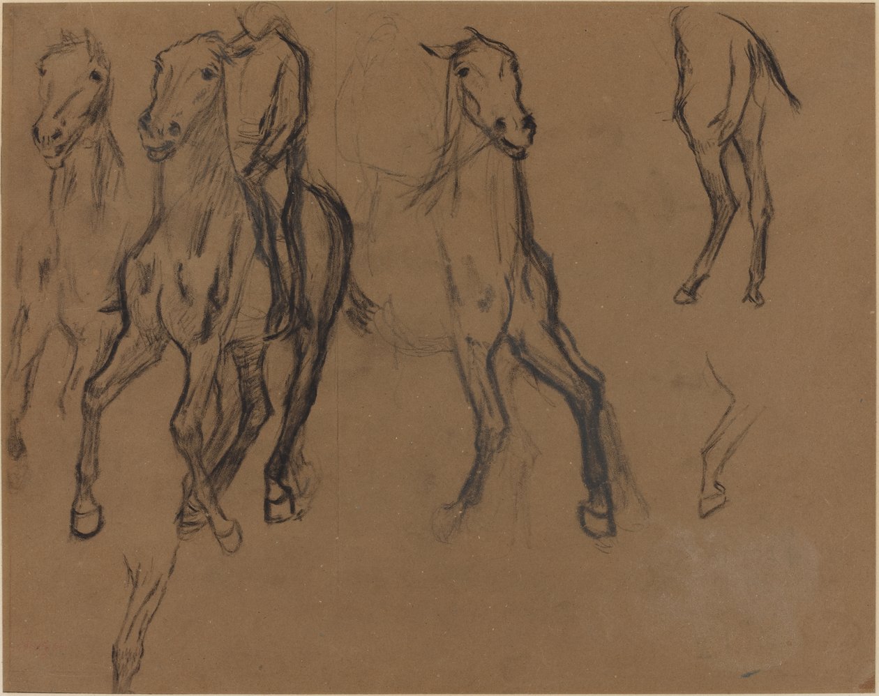 Studie koní, asi 1886 (uhel a grafit na hnědém papíře) od Edgar Degas