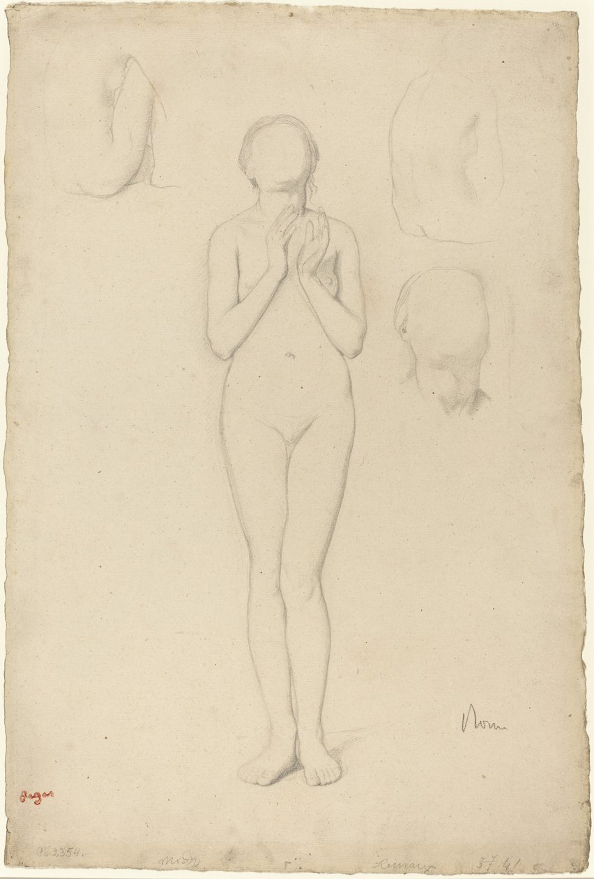 Studie ženského aktu, 18561858. od Edgar Degas