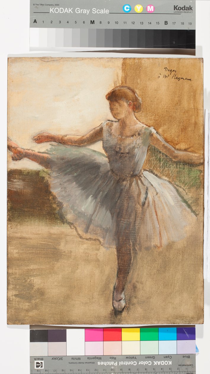 The Ballerina, c.1876 (olej na plátně) od Edgar Degas