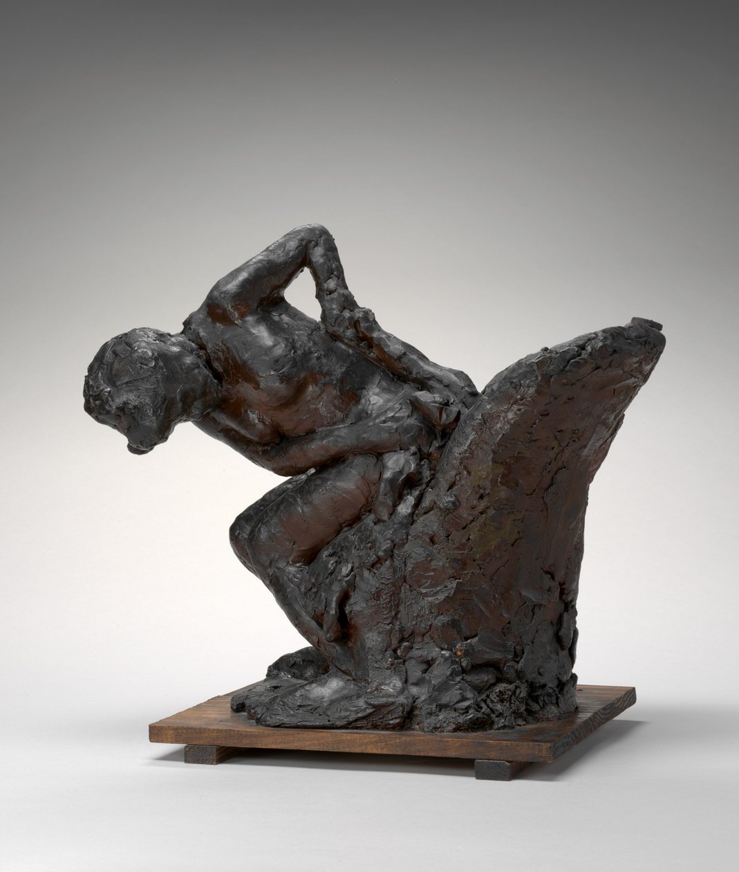 Žena sedící, otírá si levý bok, 90. léta 19. století 1911. od Edgar Degas