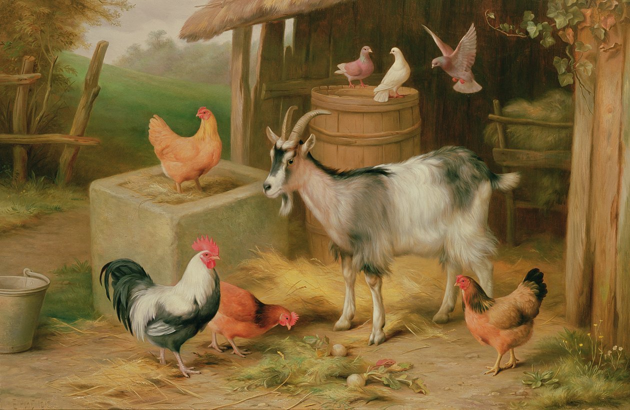 Scéna z hospodářského dvora od Edgar Hunt