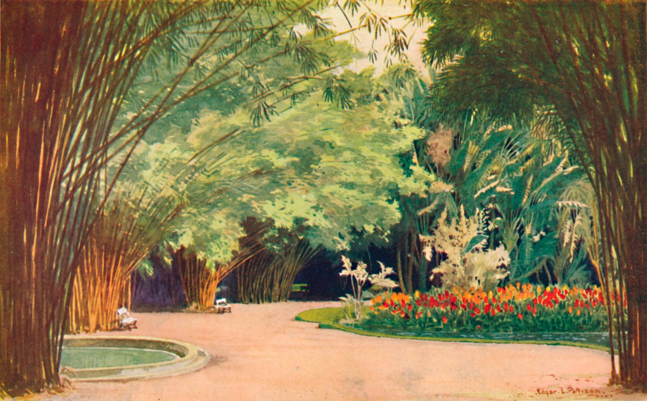 Bamboo Grove - Botanická zahrada, 1914 od Edgar L. Pattison