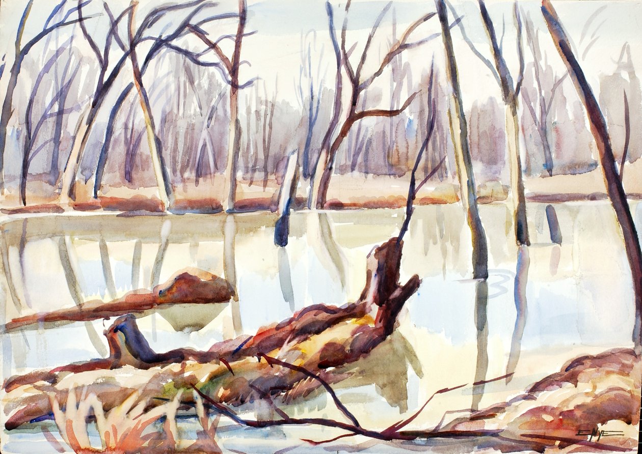 Rock Creek, zima, ca. 1920-1929. od Edgar Nye