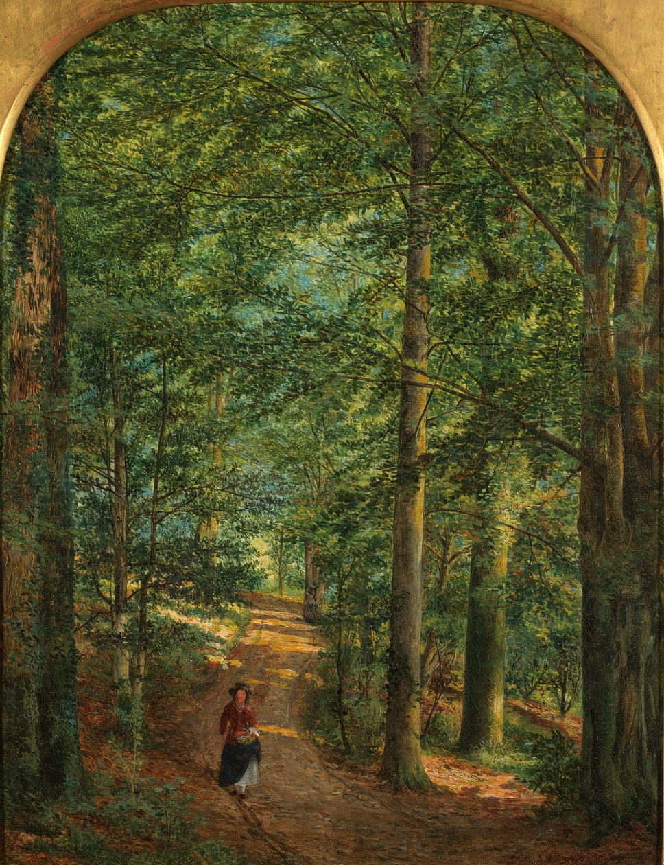 V lesích od Edmund George Warren