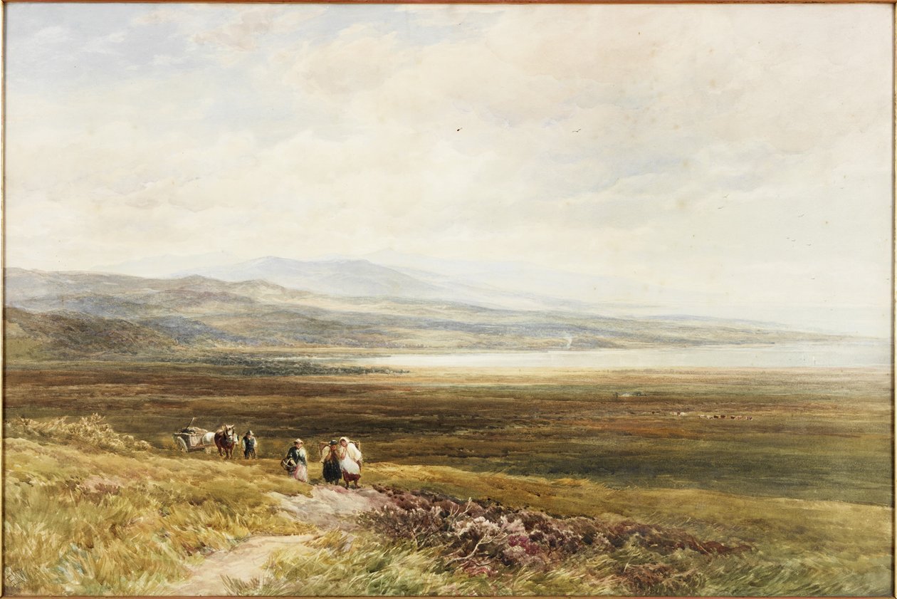 Scotch Moor (akvarel na papíře) od Edmund Morison Wimperis