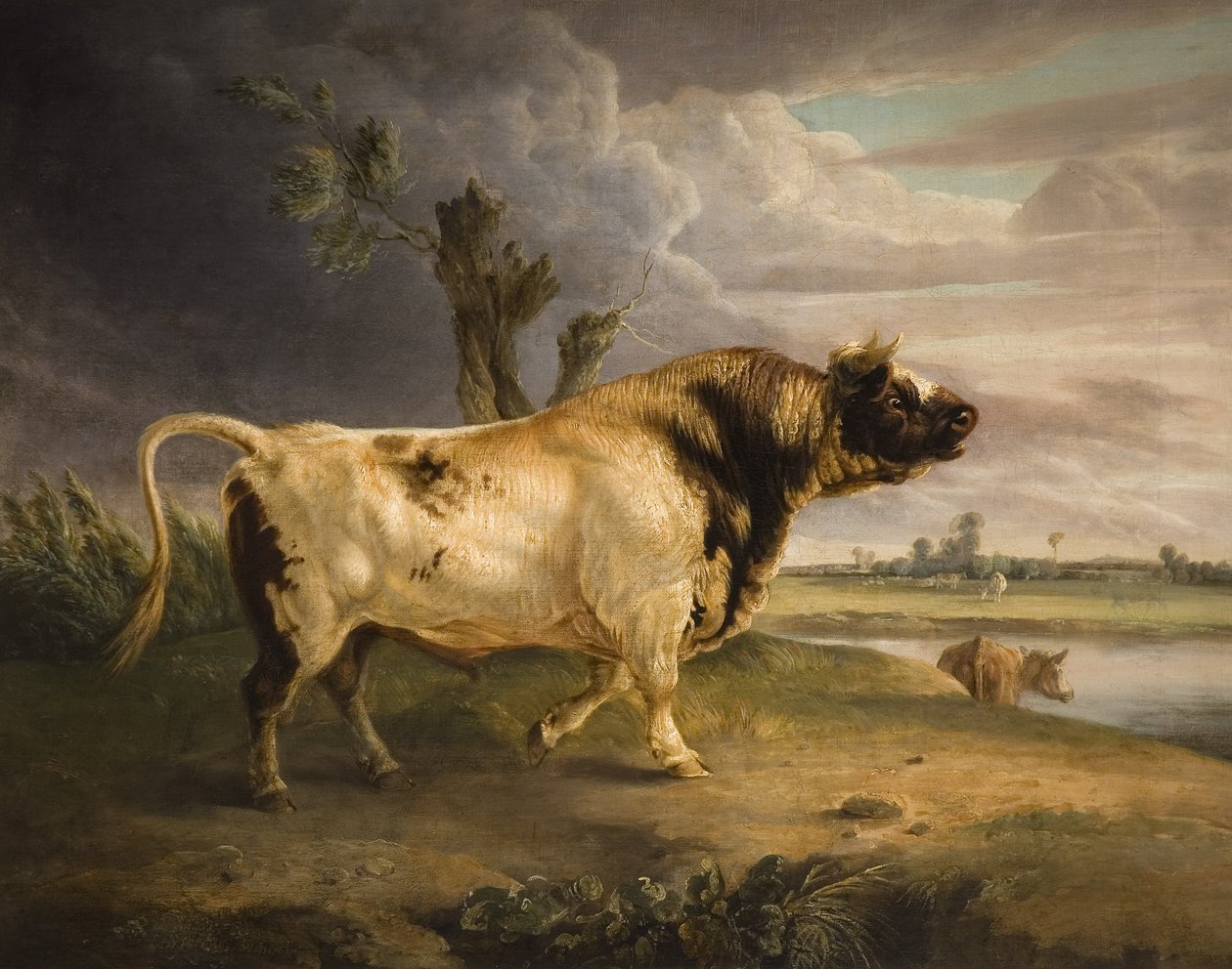 Cena Bull od Edmund Bristow