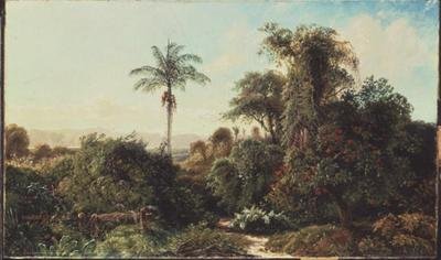 Kubánská krajina (olej na plátně) od Edmund Darch Lewis