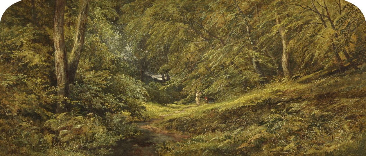 Sketch - In the Woods (olej na plátně) od Edmund G. Muller