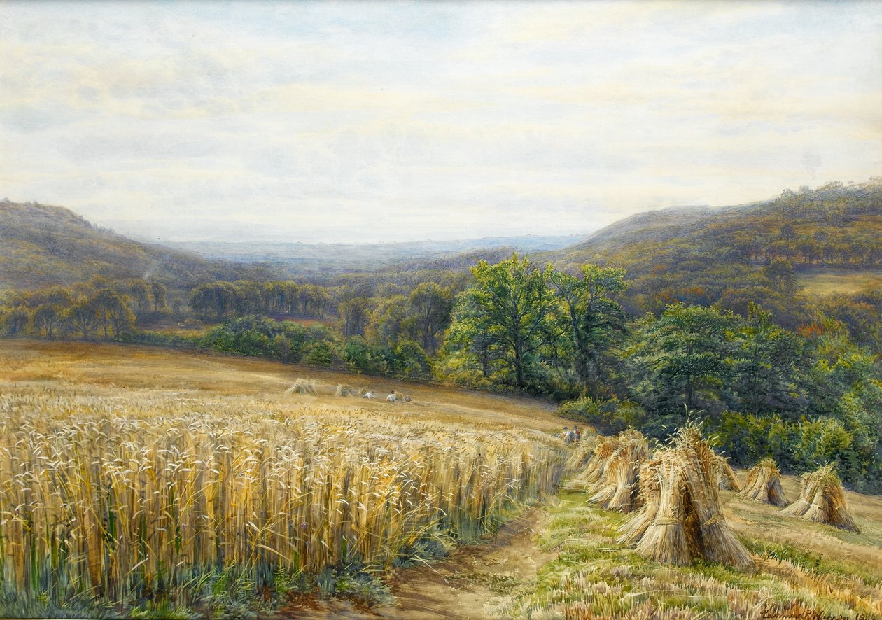 Čas sklizně poblíž Ashburton, 1884 (wc a kvaš na papíře) od Edmund George Warren
