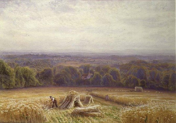 Sklizeň od Edmund George Warren