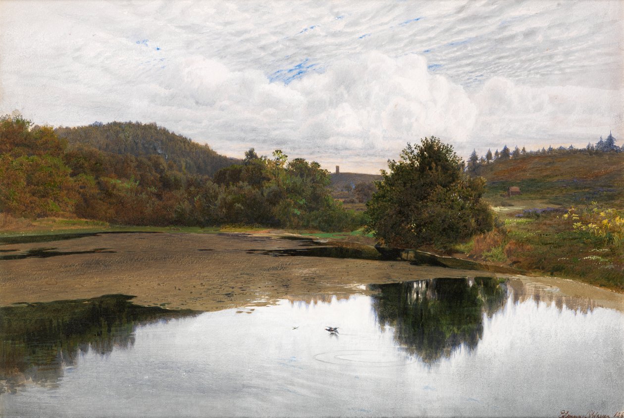 Leith Hill, od Broadmoor, Surrey od Edmund George Warren